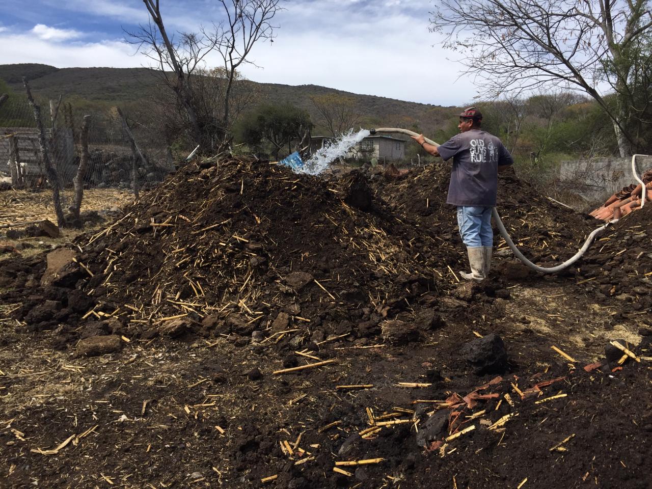 Elaboran compostas para restaurar suelos en Chucándiro: Sedrua