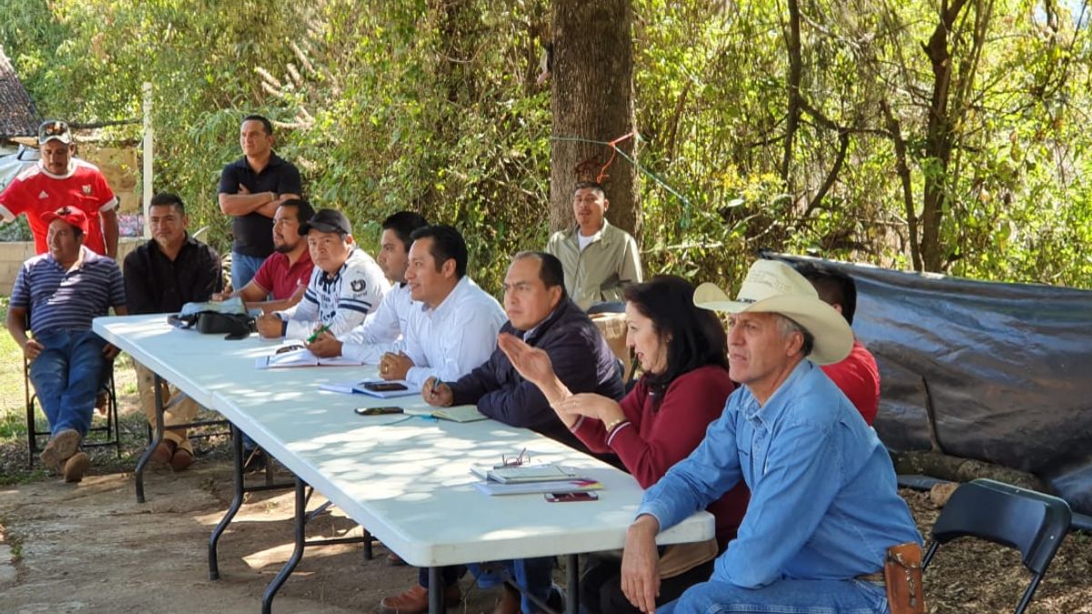 En marcha, créditos a productores de Nochebuena en Michoacán: Sedrua