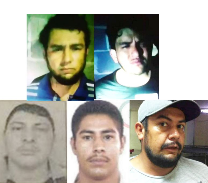 Michoacán, hermanos de «El Gordo Santana» jefe del Cartel de las Viagras son liberados