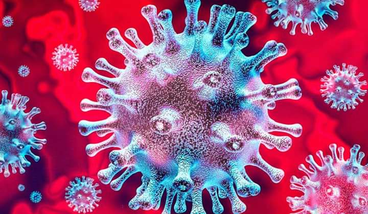 99% de contagiados de #covid19 generan anticuerpos