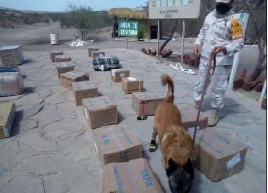 GRACIAS A BINOMIOS CANÓFILOS EJÉRCITO MEXICANO ASEGURA METANFETAMINA