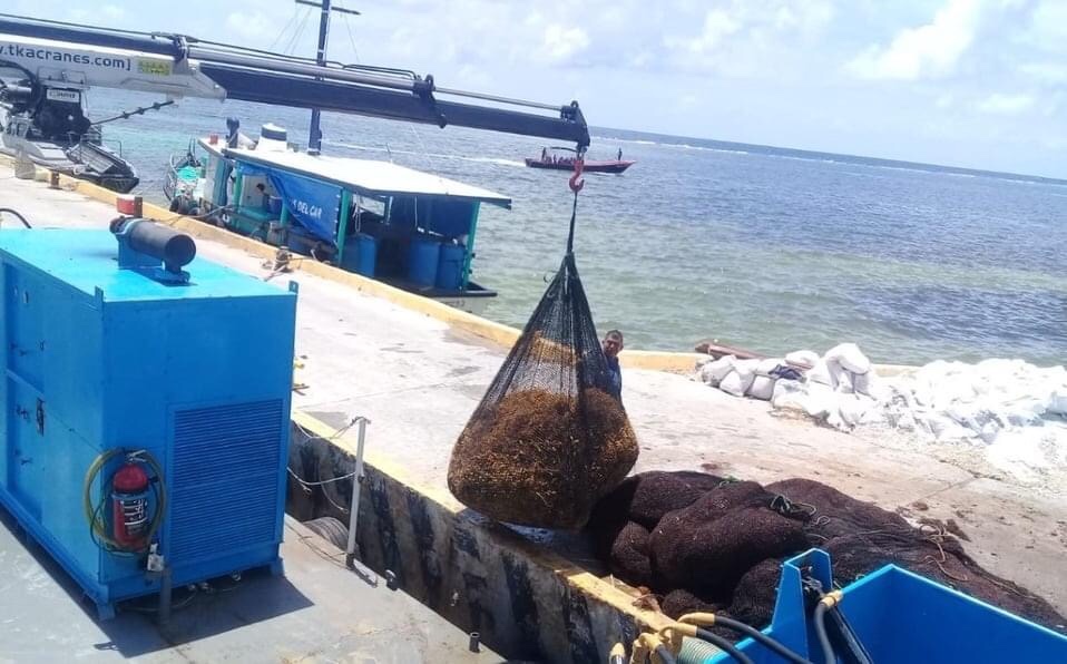 En QRoo, recolectan casi 14 mil toneladas de sargazo en 4 meses