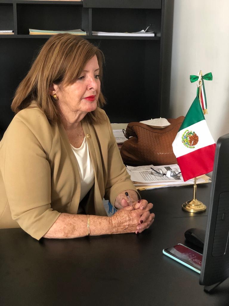 LA DIPUTADA, SANDRA LUZ VALENCIA, PROPONE AL CONGRESO SE DECLARE EL “2021, AÑO DEL BICENTENARIO DE LA CONSUMACIÓN DE LA INDEPENDENCIA DE MÉXICO”.