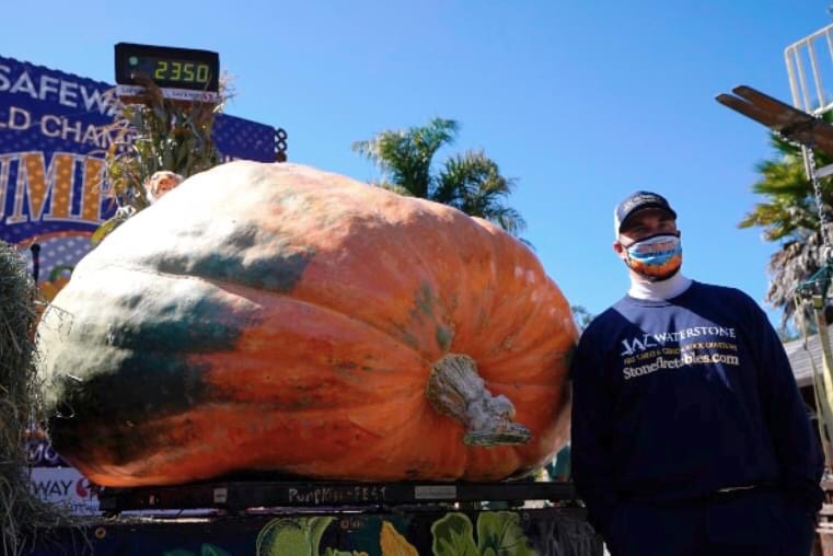 PRESENTAN LA CALABAZA MÁS GRANDE DEL MUNDO EN 2020