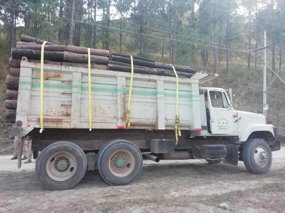 En acción operativa, detiene FGE a presunto responsable de delitos contra el ambiente y asegura recurso forestal