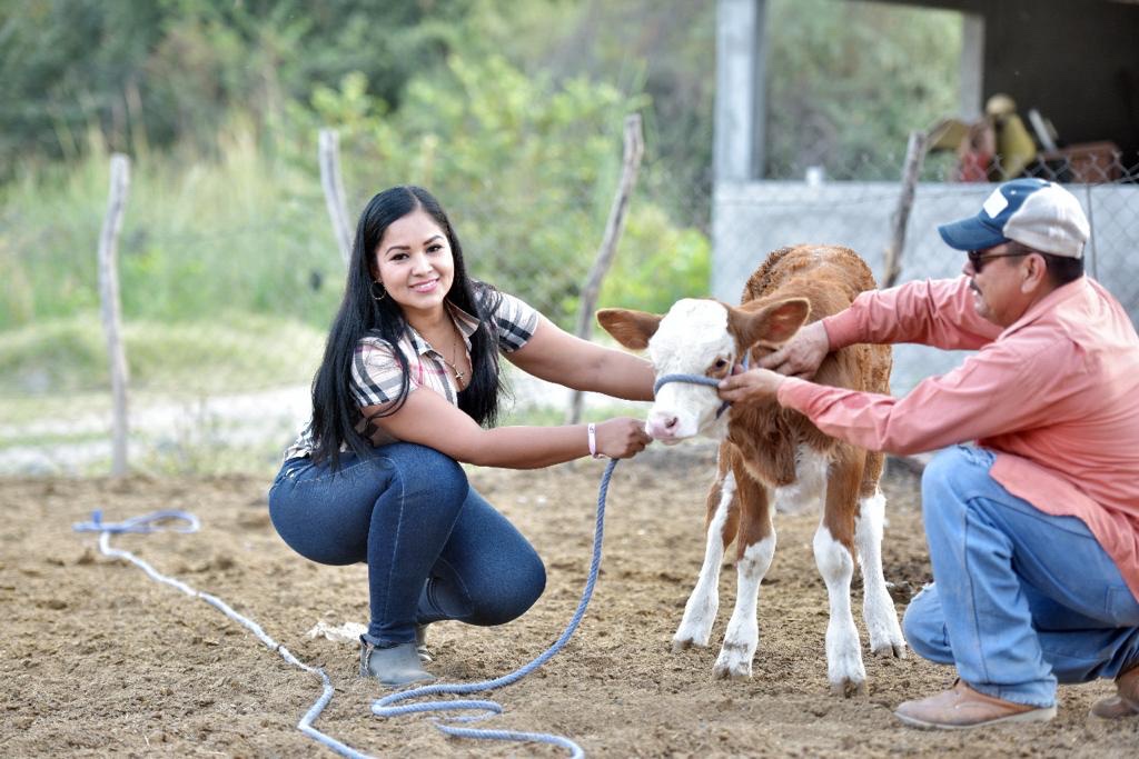 Importante proyectar acciones de proyección al sector ganadero y agrícola de Apatzingán