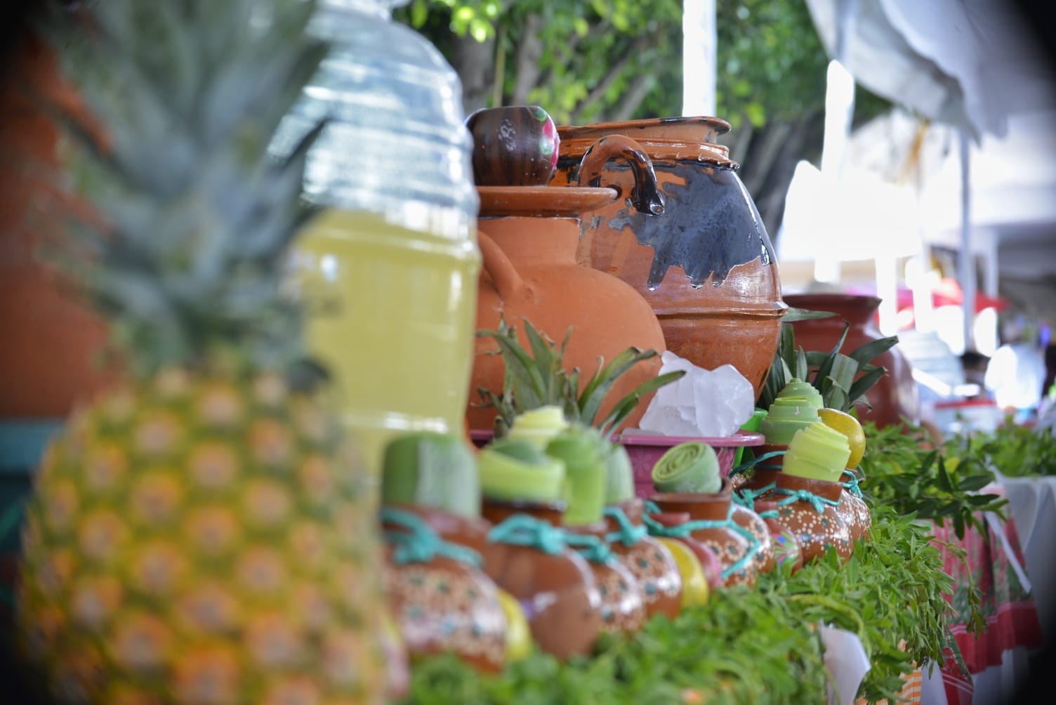 Inicia en Tarímbaro la Feria del Pulque, el Mezcal y el Asado
