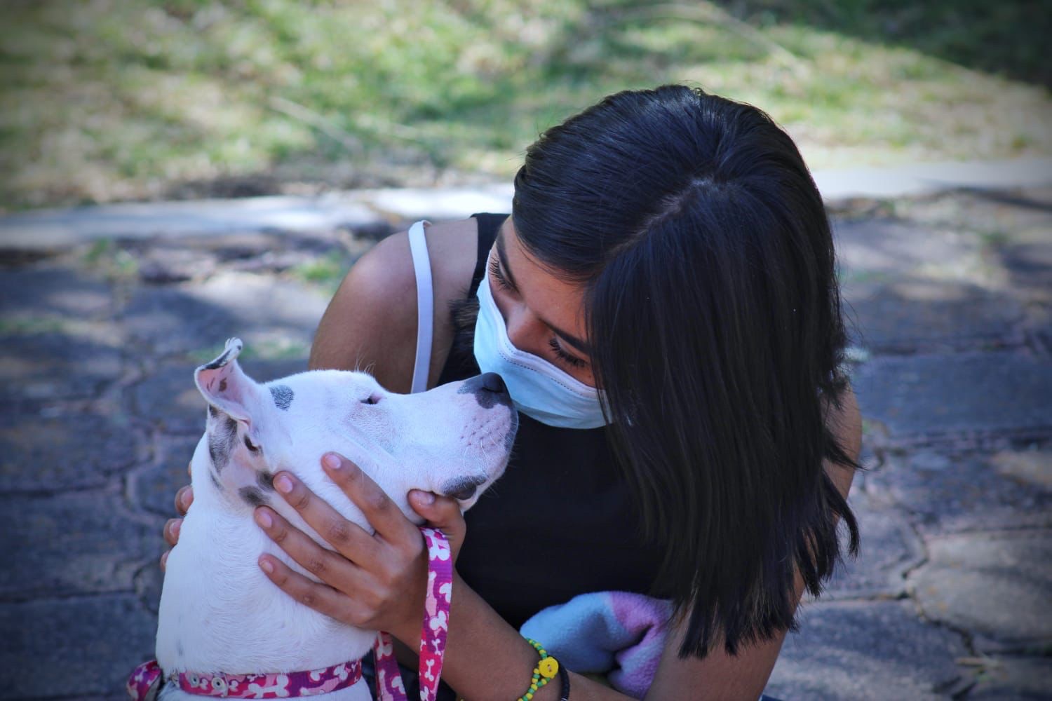 Realiza Gobierno de Tarímbaro 200 esterilizaciones animales gratuitas