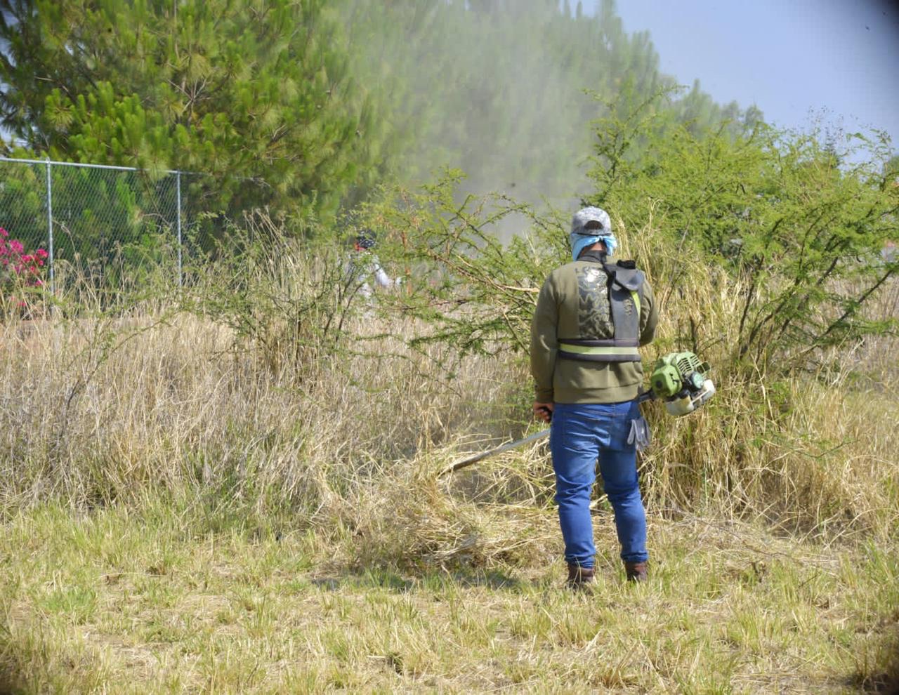 Limpia Gobierno de Tarímbaro predio abandonado en Paraíso Escondido