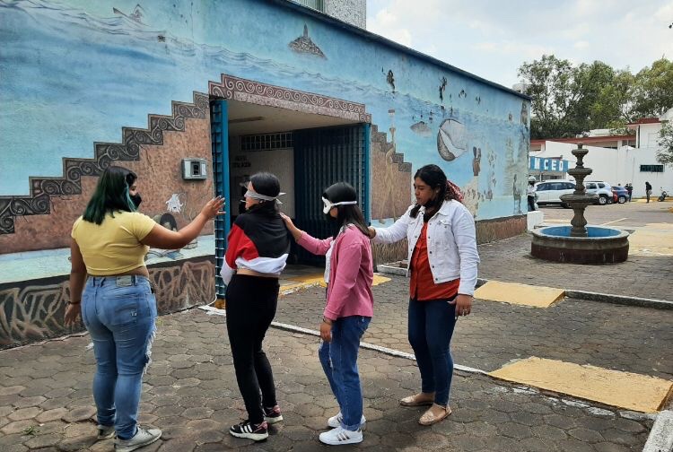 IMCED oferta licenciatura en Inclusión Educativa con registro nacional