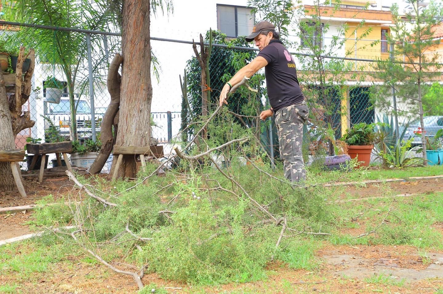 Rescate de espacios públicos por seguridad de sus habitantes: Barragán