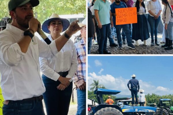 Limoneros de Apatzingán alzan la voz por precios justos y apoyos al campo