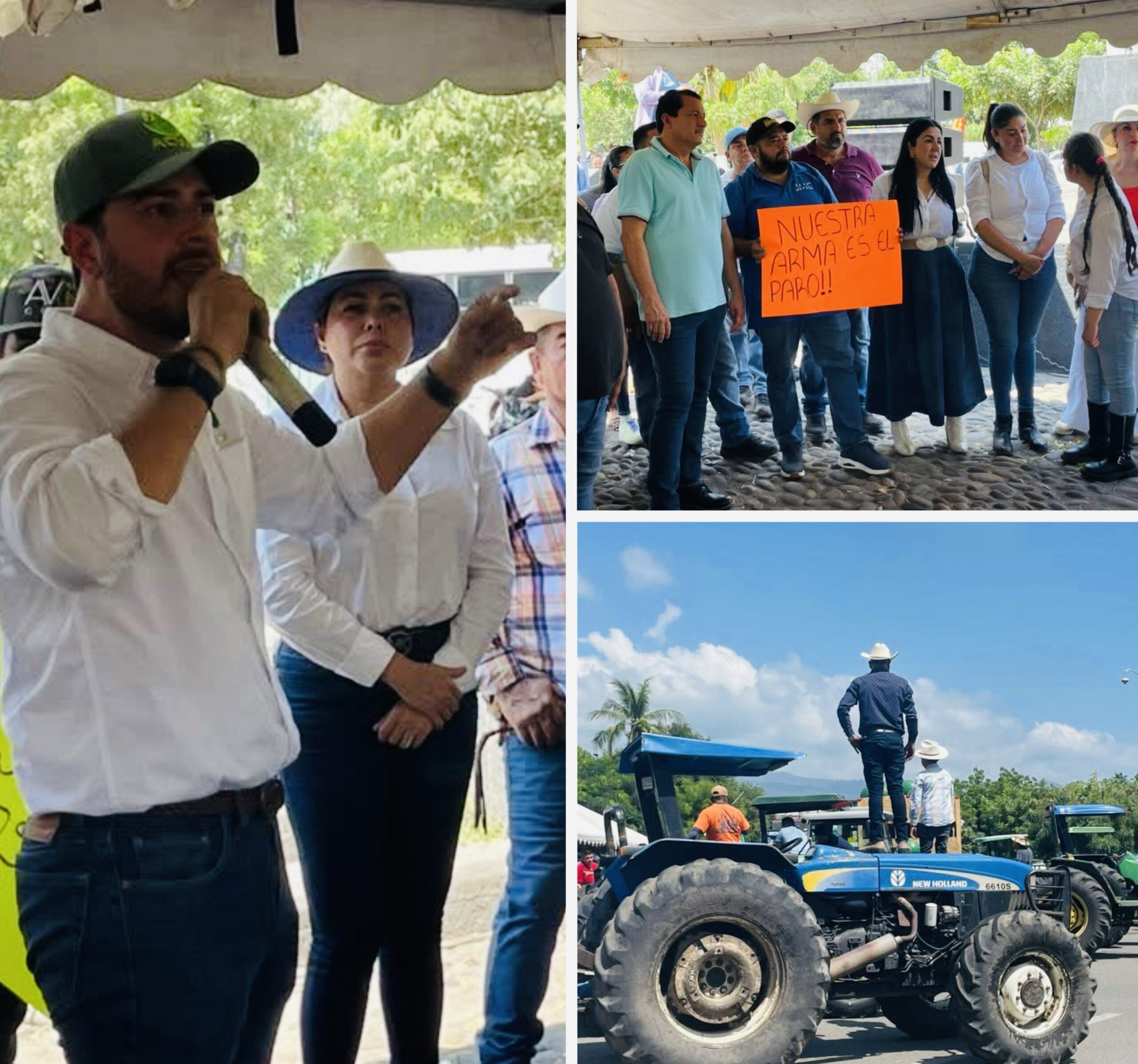 Limoneros de Apatzingán alzan la voz por precios justos y apoyos al campo